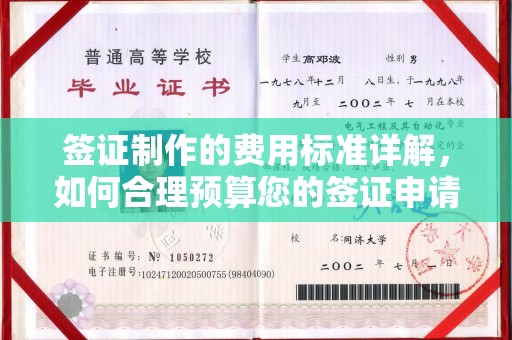敖汉旗签证制作的费用标准详解，如何合理预算您的签证申请成本